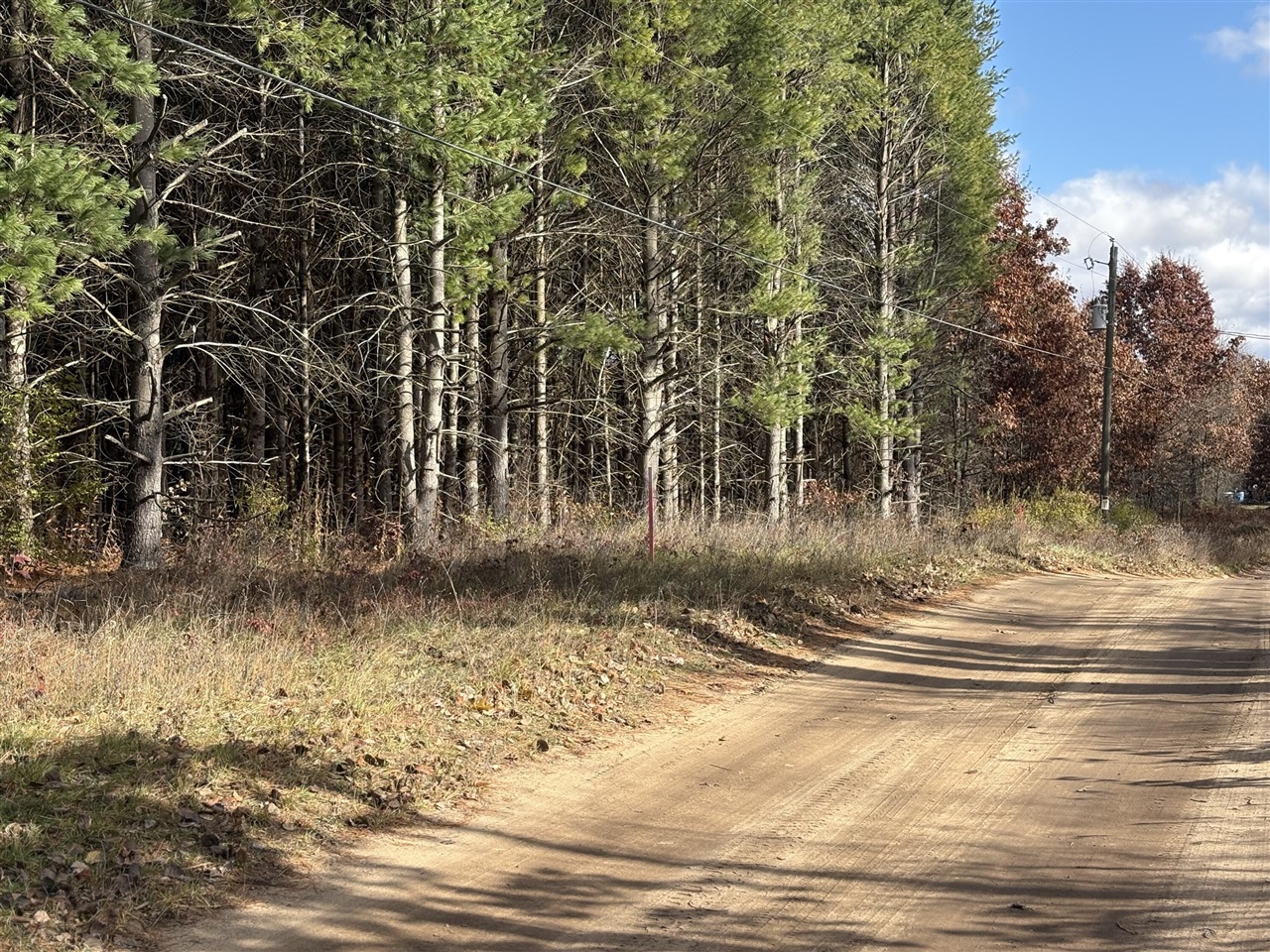 1st image of 0 W Tamarack Rd, Newaygo, MI 49337 | MLS# 70549334