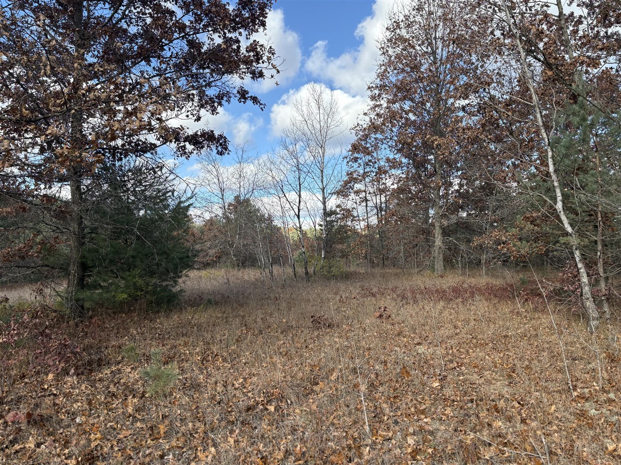 2nd image of 0 W Tamarack Rd, Newaygo, MI 49337 | MLS# 70549334