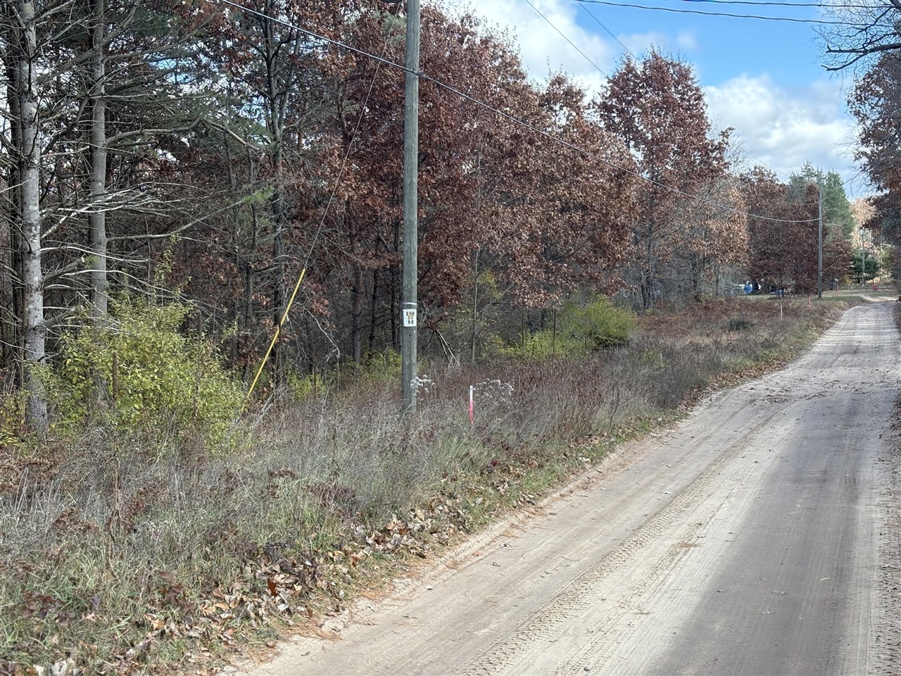 3rd image of 0 W Tamarack Rd, Newaygo, MI 49337 | MLS# 70549334