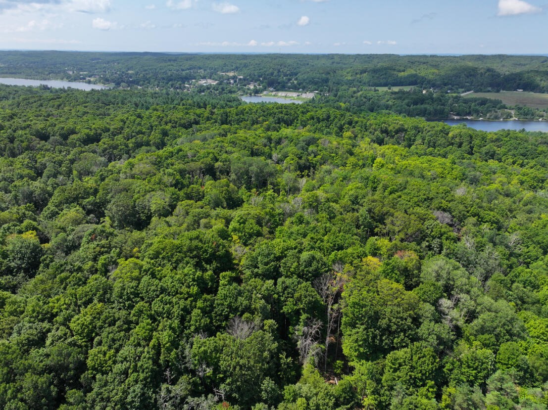 Land for sale at V/l 10a Bunker Hl Rd, Central Lake, MI 49622 | MLS# 70549454
