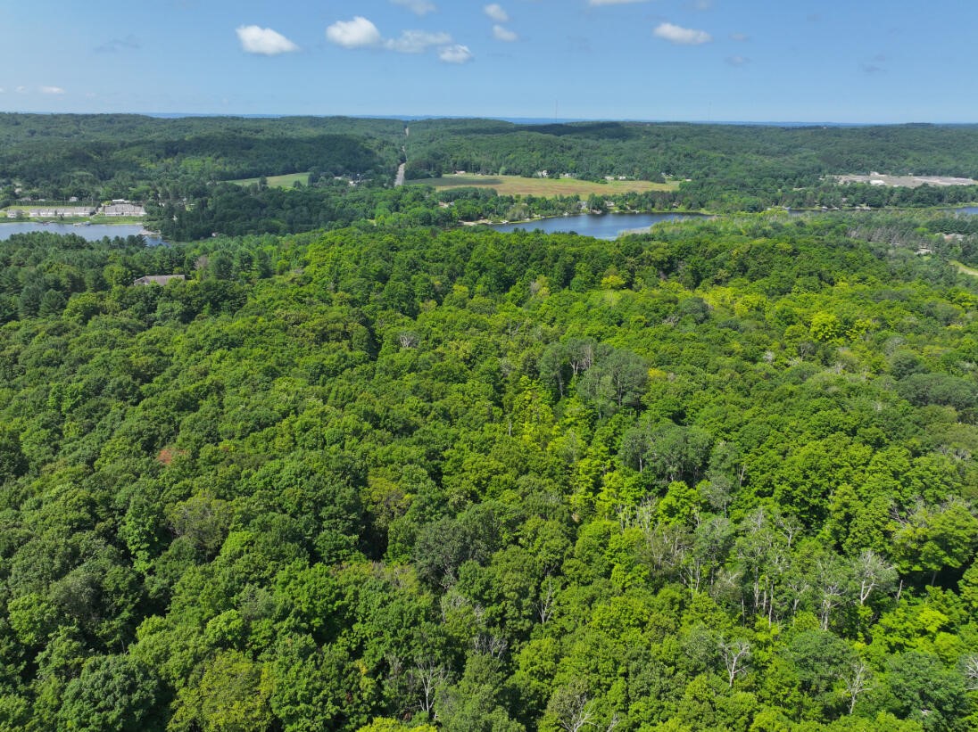Photo 3 of Land for sale at V/l 10a Bunker Hl Rd, Central Lake, MI 49622 | MLS# 70549454 | Listing updated on 2026-09-15
