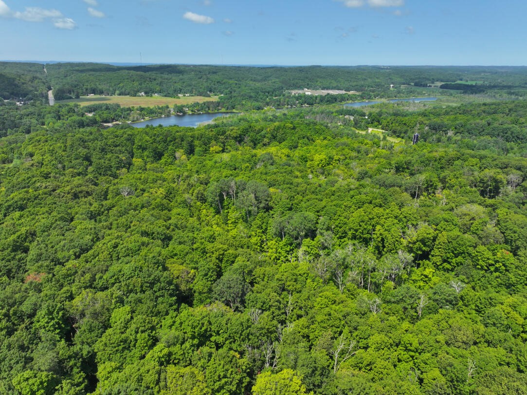 Photo 3 of Land for sale at V/l 10a Bunker Hl Rd, Central Lake, MI 49622 | MLS# 70549454 | Listing updated on 2026-09-15