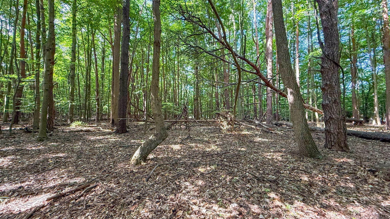 57th image of V/l Cr 388, South Haven, MI 49090 | MLS# 70549469