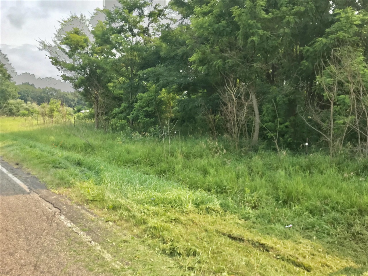 Photo 4 of Sale Pending at Lot H Buckhorn Rd, Three Rivers, MI 49093 | MLS# 70549499 | Listing updated on 2026-09-17