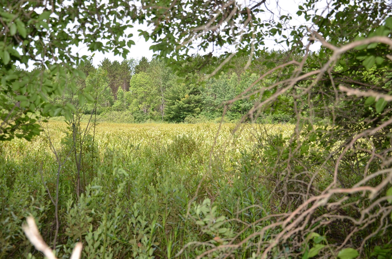 Photo 3 of Sale Pending at Marsh Rd, Fife Lake, MI 49633 | MLS# 70549555 | Listing updated on 2026-09-17