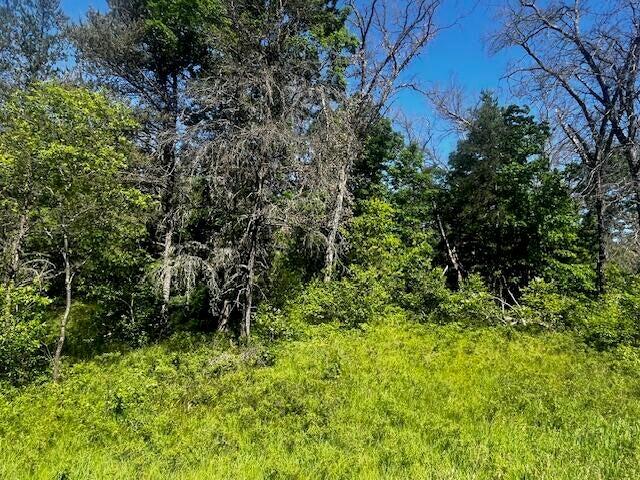 1st image of Parcel 1 M 37, Irons, MI 49644 | MLS# 70549642