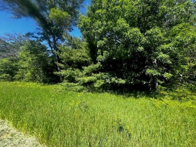 3rd image of Parcel 1 M-37, Irons, MI 49644 | MLS# 70549642