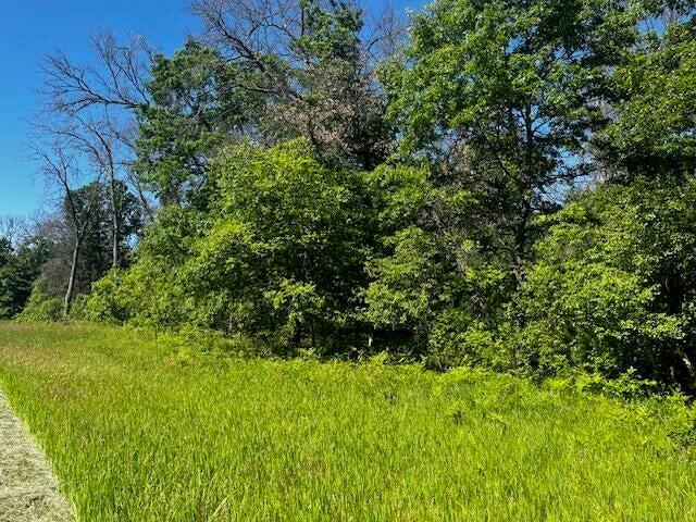 4th image of Parcel 1 M-37, Irons, MI 49644 | MLS# 70549642