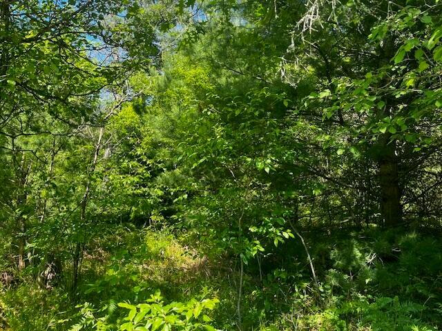 5th image of Parcel 1 M-37, Irons, MI 49644 | MLS# 70549642