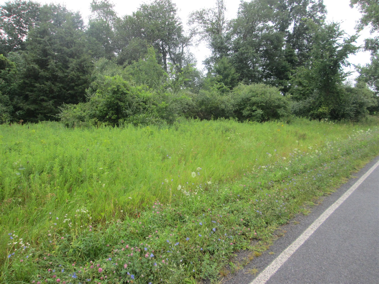 1st image of 0 W Muskrat Rd, Sidney, MI 48885 | MLS# 70549697