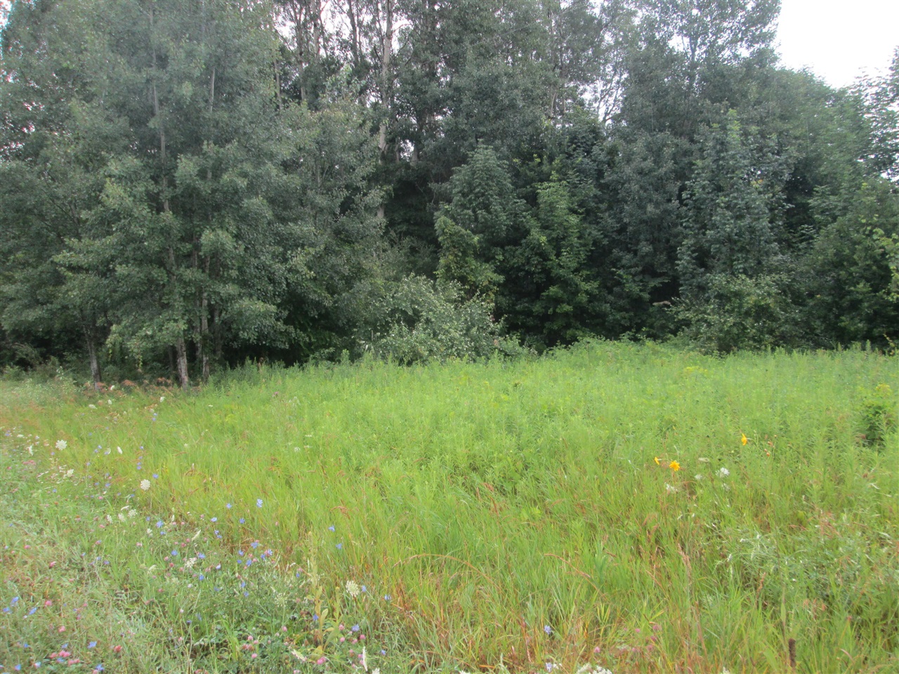 2nd image of 0 W Muskrat Rd, Sidney, MI 48885 | MLS# 70549697