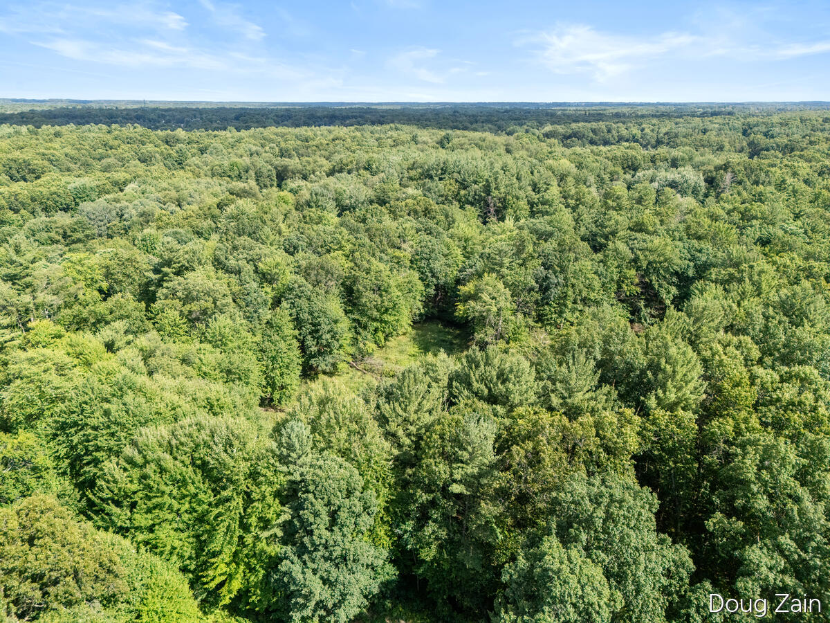 12th image of 11890 Sandy Oak Ct, Cedar Springs, MI 49319 | MLS# 70549708