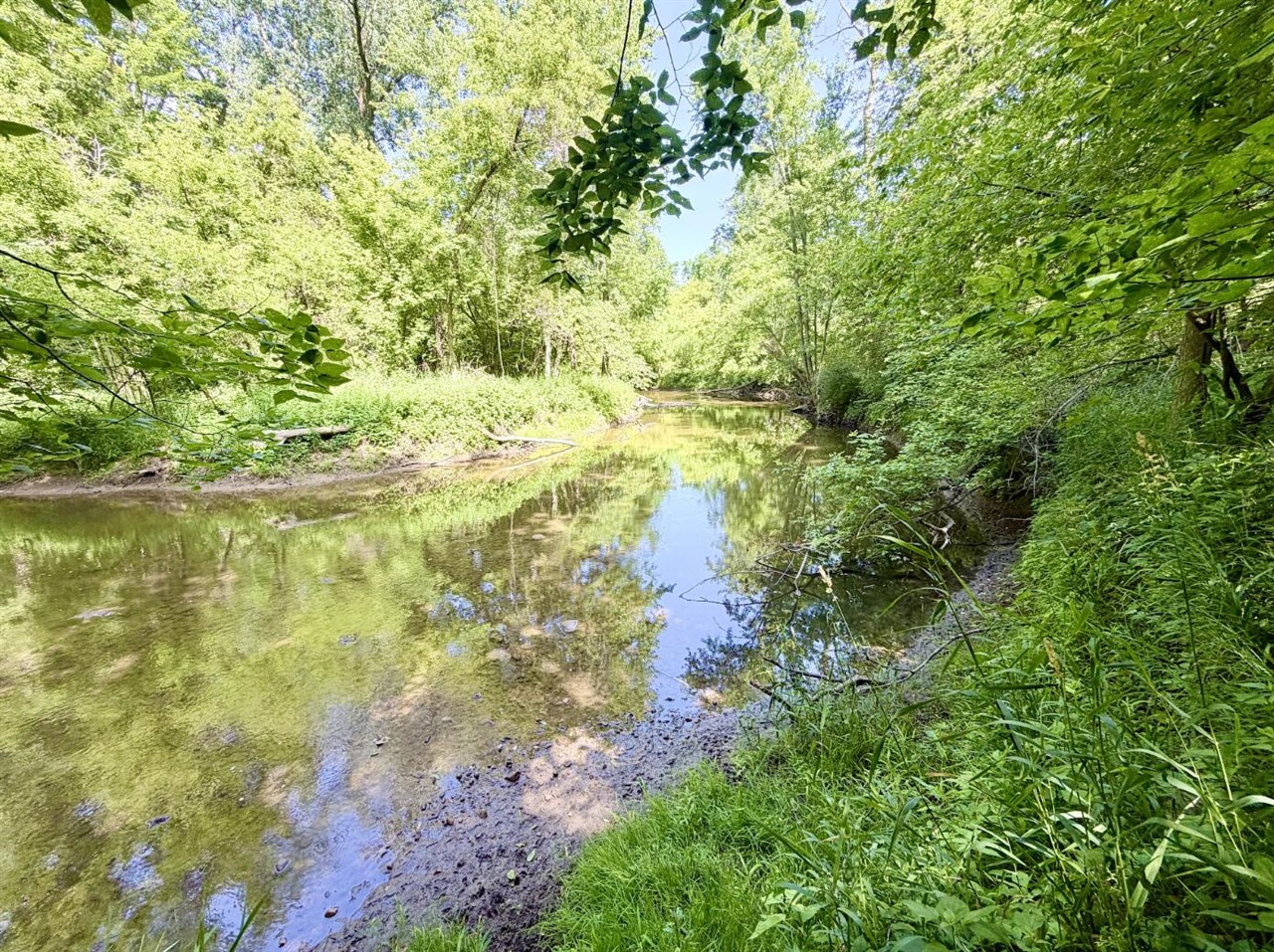 4th image of 7315 Bothwell Hwy, Hudson, MI 49247 | MLS# 70549757