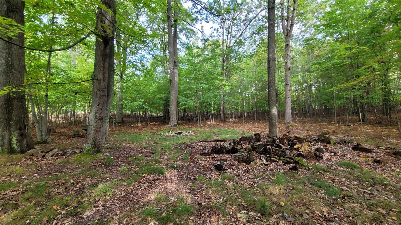 1st image of N Diablo, Pentwater, MI 49449 | MLS# 70549837