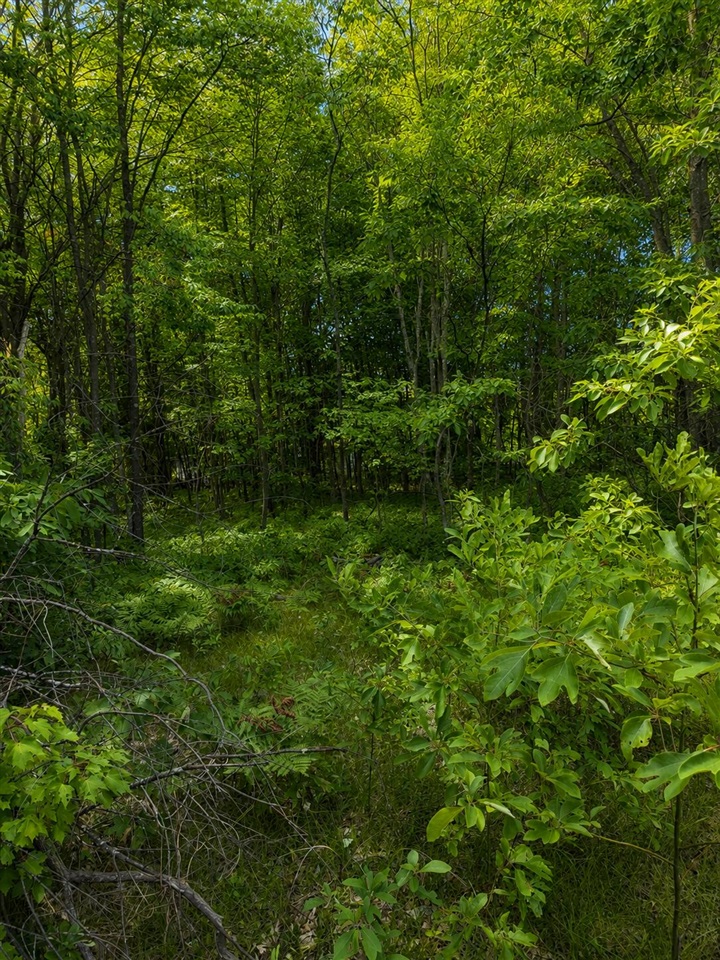 3rd image of S Mill Iron Rd, Muskegon, MI 49442 | MLS# 70549956