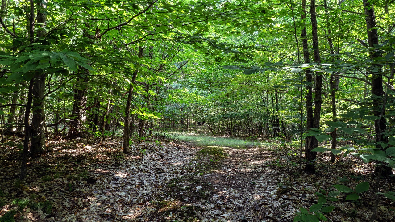 3rd image of 1245 W River Ridge Rd, Pentwater, MI 49449 | MLS# 70550028