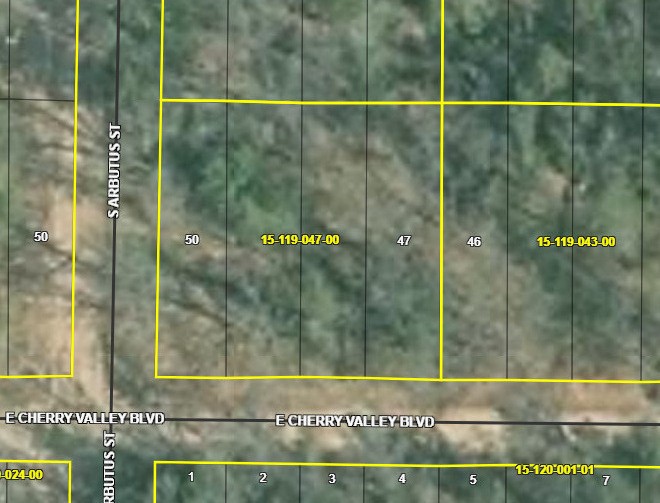 1st image of 1384 Cherry Valley Dr, Idlewild, MI 49642 | MLS# 70550061