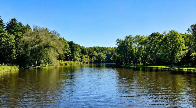 2nd image of 12581 Riverbend Rd, Evart, MI 49631 | MLS# 70550104
