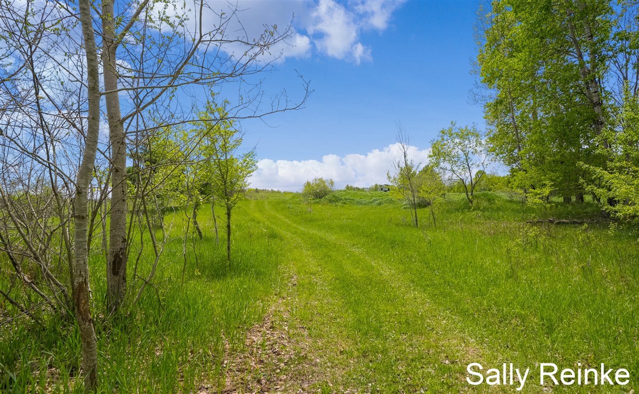 3rd image of V/L 9 Mile Rd Rd, Reed City, MI 49677 | MLS# 70550194