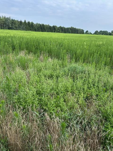 2nd image of V/l W Y Ave, Schoolcraft, MI 49087 | MLS# 70550272