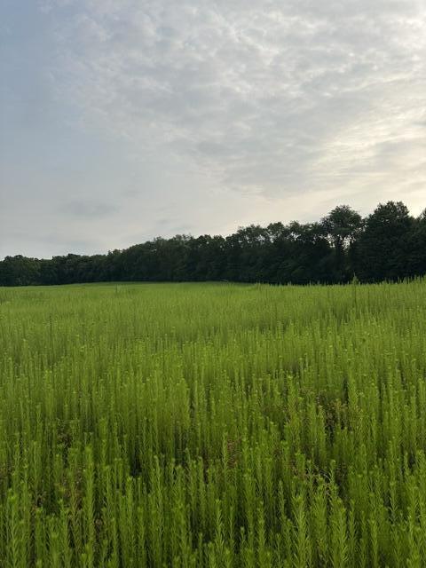 3rd image of V/L W Y Ave, Schoolcraft, MI 49087 | MLS# 70550272