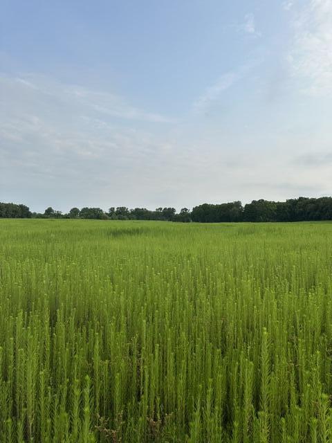4th image of V/L W Y Ave, Schoolcraft, MI 49087 | MLS# 70550272