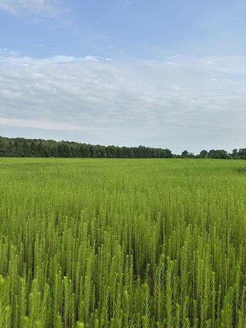 5th image of V/L W Y Ave, Schoolcraft, MI 49087 | MLS# 70550272