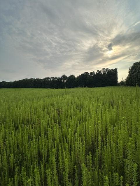 10th image of V/l W Y Ave, Schoolcraft, MI 49087 | MLS# 70550272