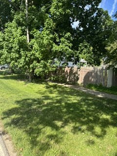 4th image of 136 Howard St, Hubbardston, MI 48845 | MLS# 70550274