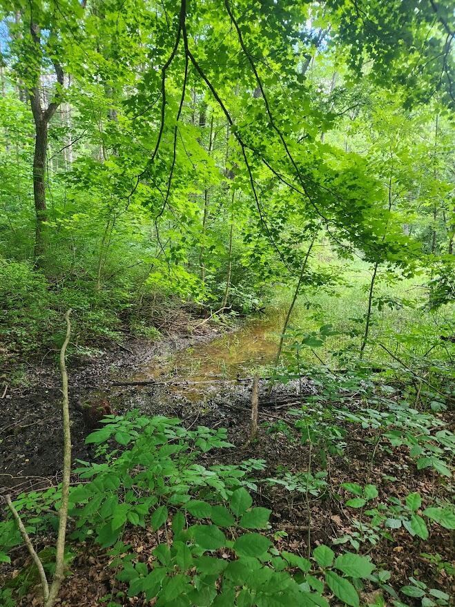 14th image of 3649 S M 43 Hwy, Hastings, MI 49058 | MLS# 70550312