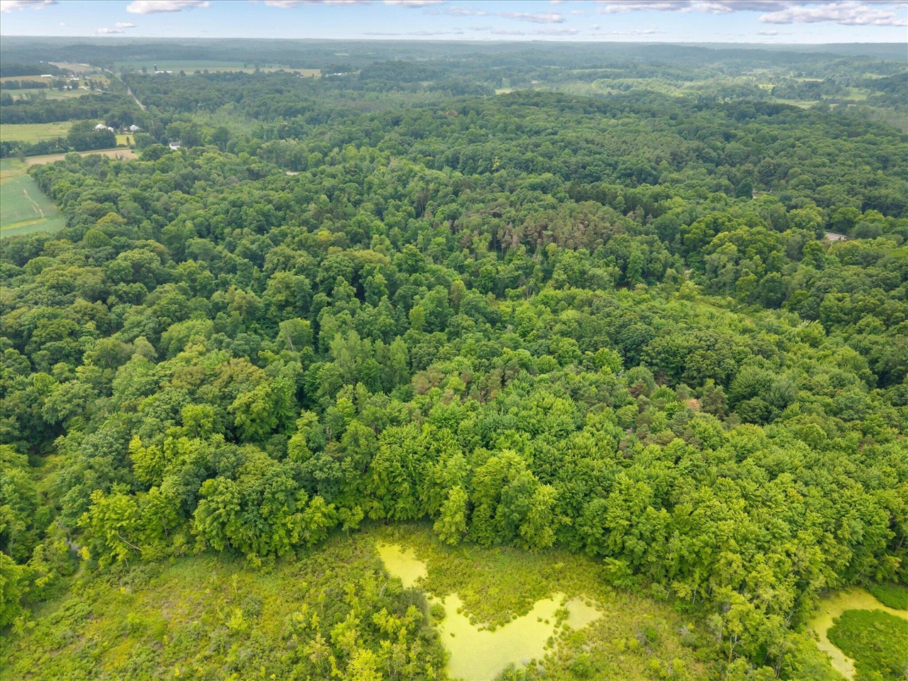 3rd image of 3649 S M-43 Hwy, Hastings, MI 49058 | MLS# 70550312