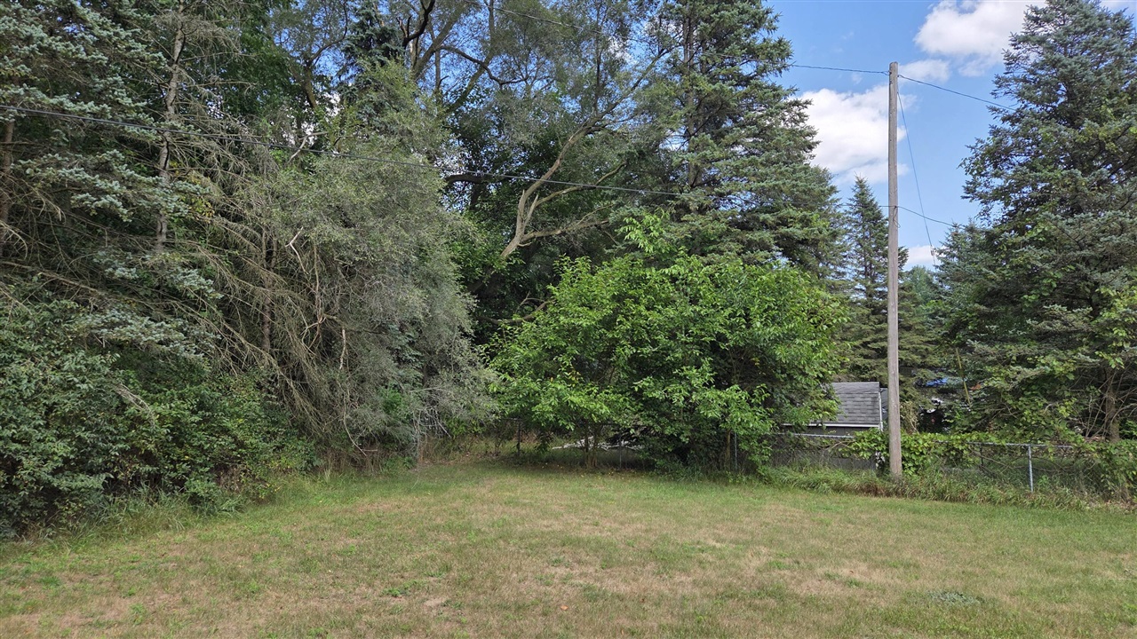 4th image of 0 Bluewater Hwy, Lowell, MI 49331 | MLS# 70550391