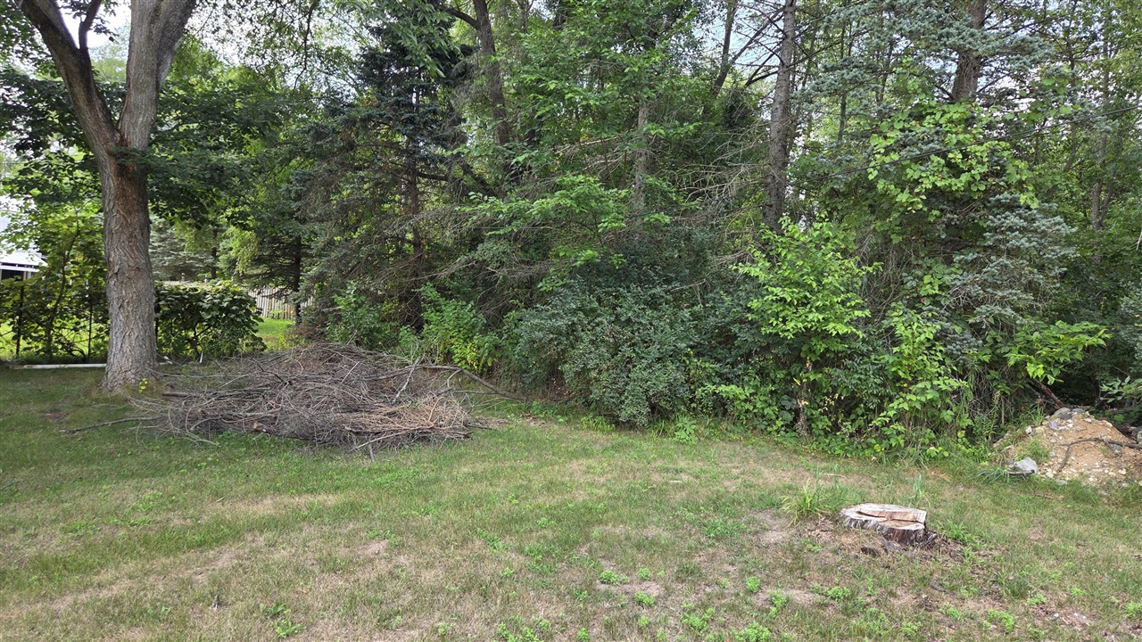 5th image of 0 Bluewater Hwy, Lowell, MI 49331 | MLS# 70550391