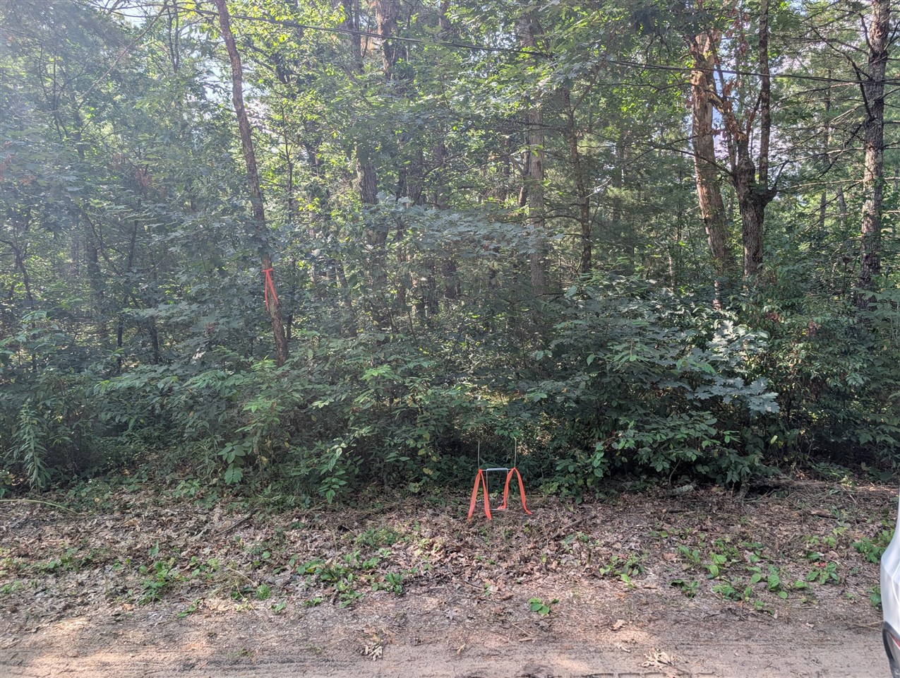 1st image of Lewis St, Baldwin, MI 49304 | MLS# 70550392