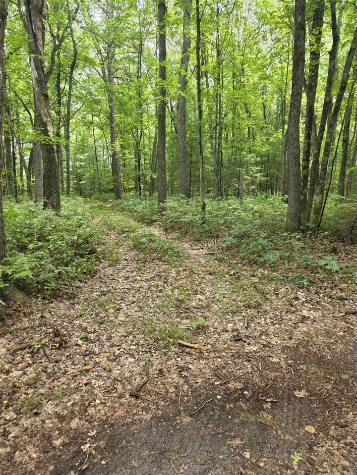 1st image of 01v/l N Hunters Wy, White Cloud, MI 49349 | MLS# 70550443