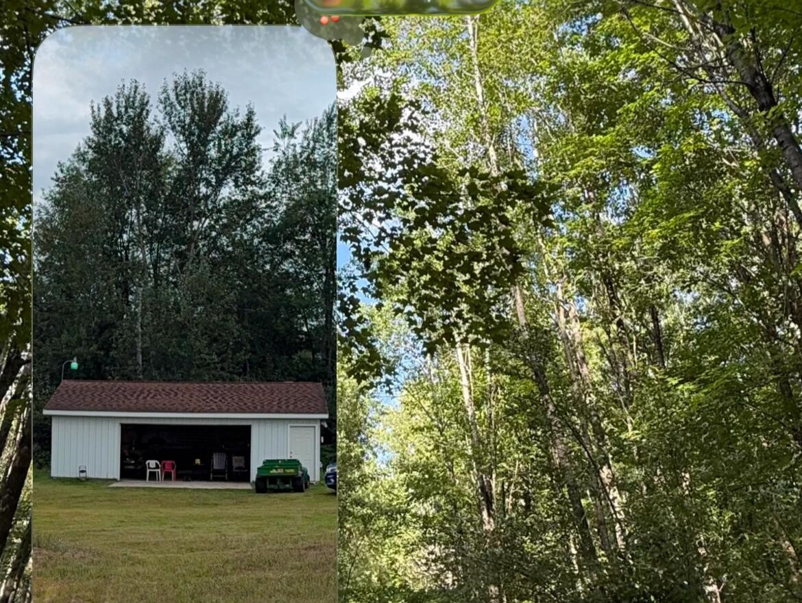 2nd image of 757 W Oyster Rd, Rose City, MI 48654 | MLS# 70550454