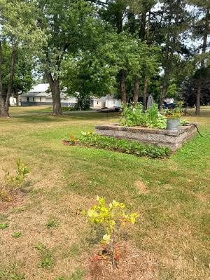 5th image of 159 E Oak St, Sand Lake, MI 49343 | MLS# 70550598