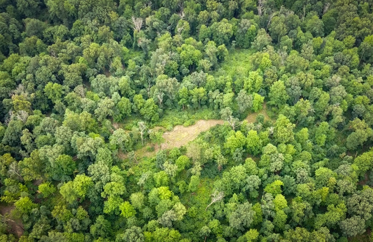 3rd image of V/L 2000 Ryan Rd, Hastings, MI 49058 | MLS# 70550748