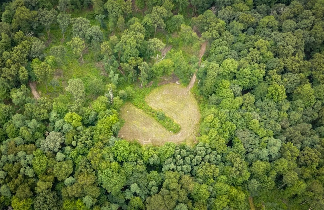 4th image of V/L 2000 Ryan Rd, Hastings, MI 49058 | MLS# 70550748