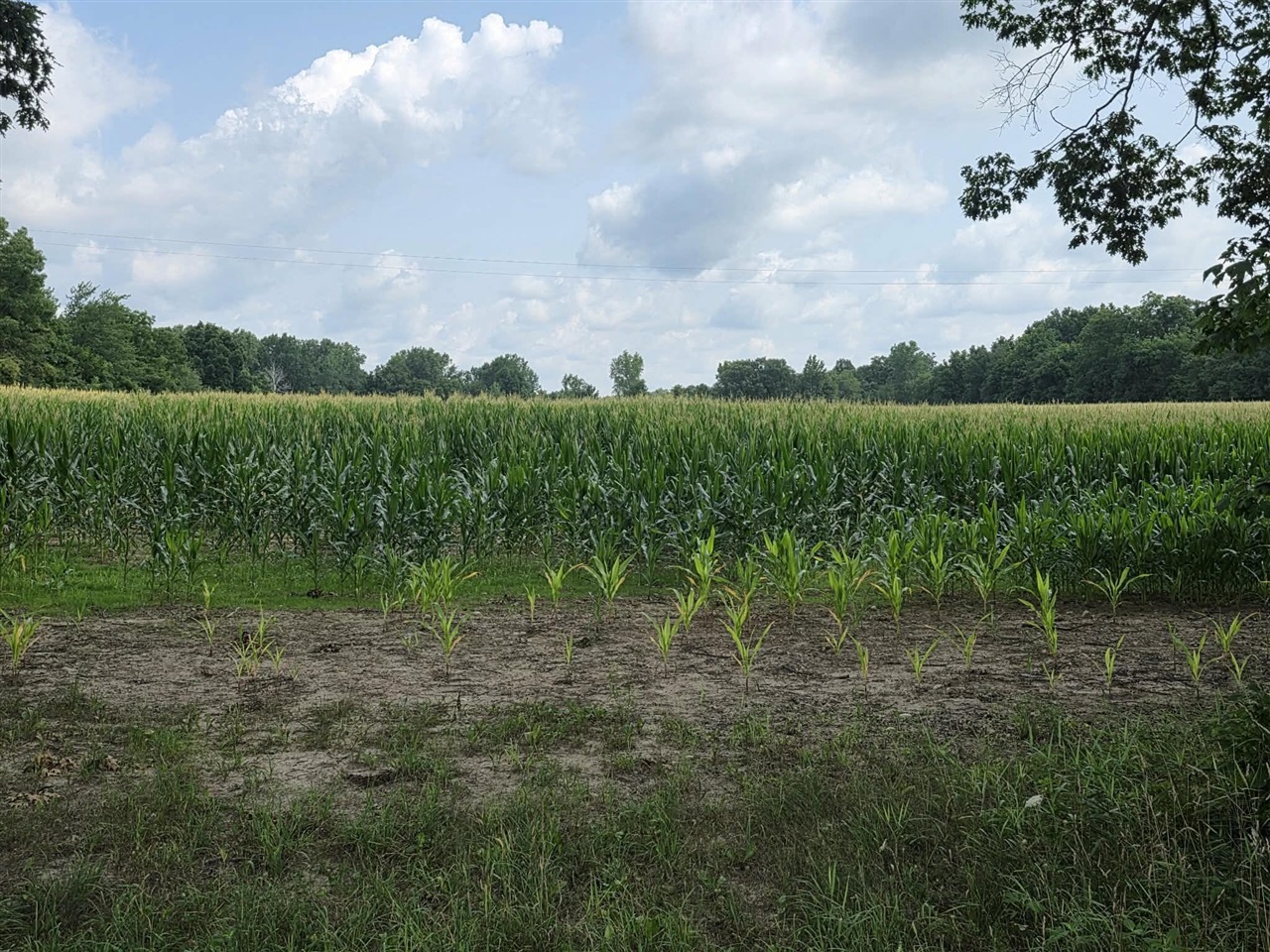 1st image of Q Dr South (parcel 1), Burlington, MI 49029 | MLS# 70550797