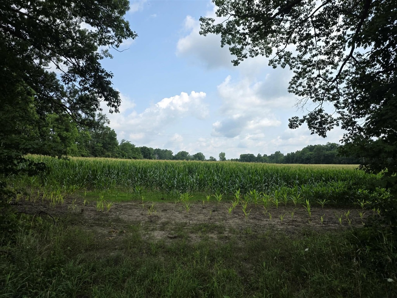 2nd image of Q Dr South (parcel 1), Burlington, MI 49029 | MLS# 70550797