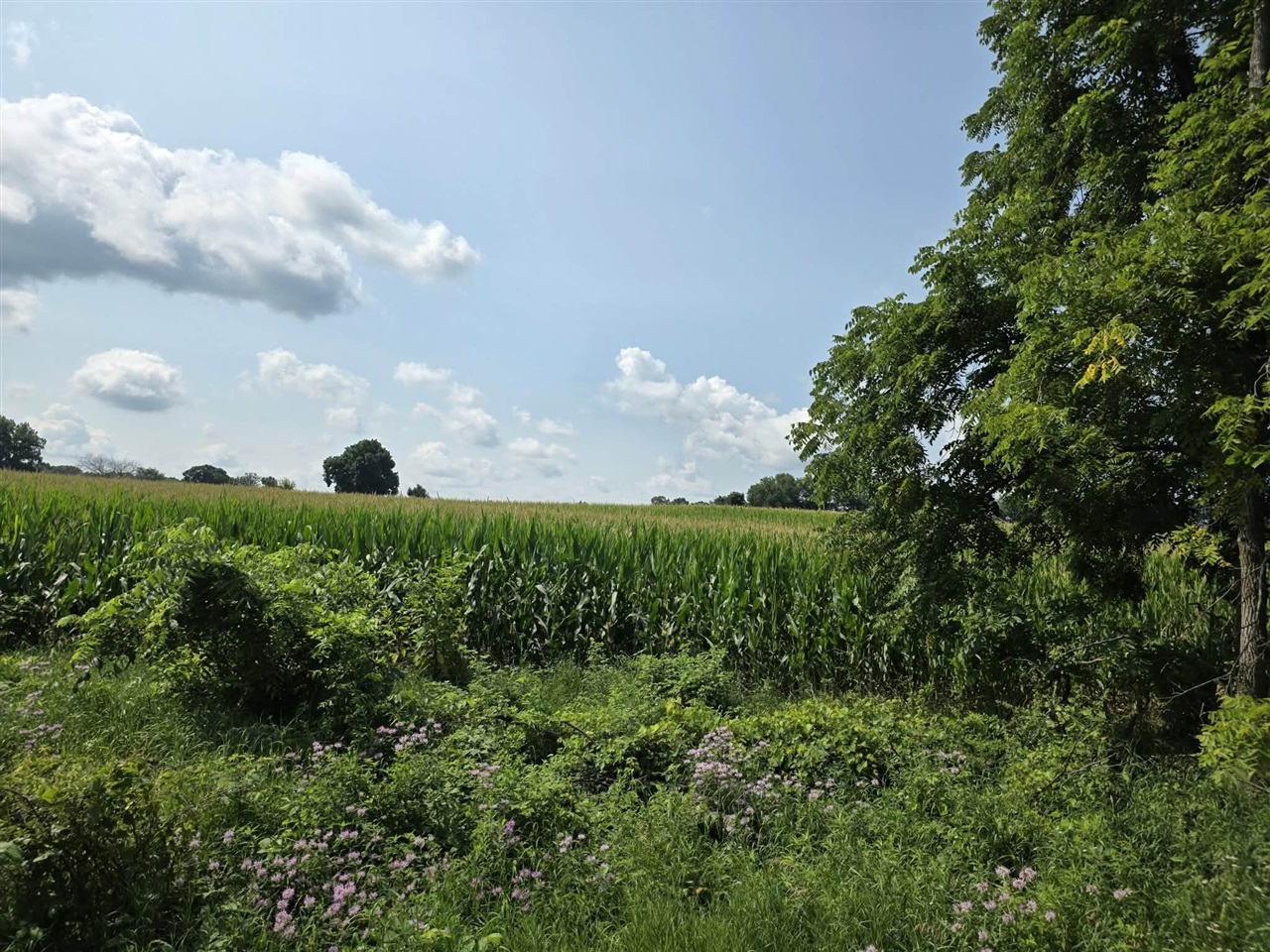 1st image of 13 Mile Rd (parcel 3), Burlington, MI 49029 | MLS# 70550799