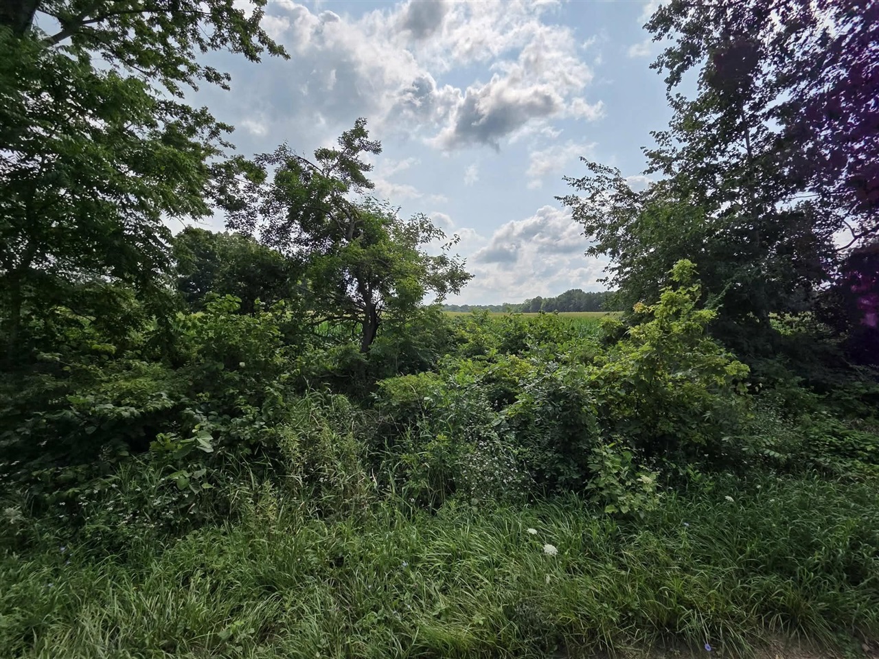 2nd image of 13 Mile Rd (parcel 3), Burlington, MI 49029 | MLS# 70550799