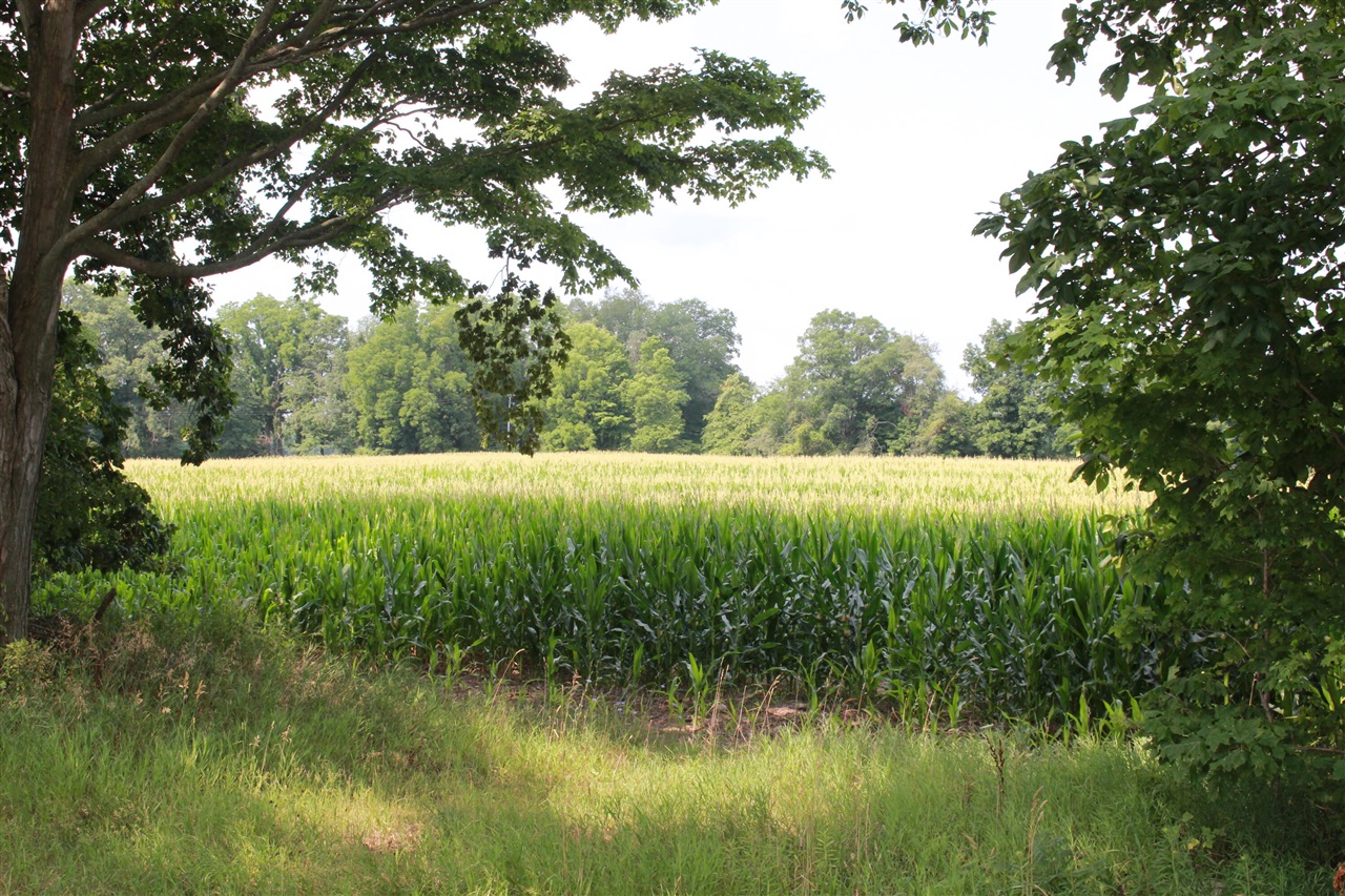 1st image of P Dr S (parcel 4), Burlington, MI 49029 | MLS# 70550800
