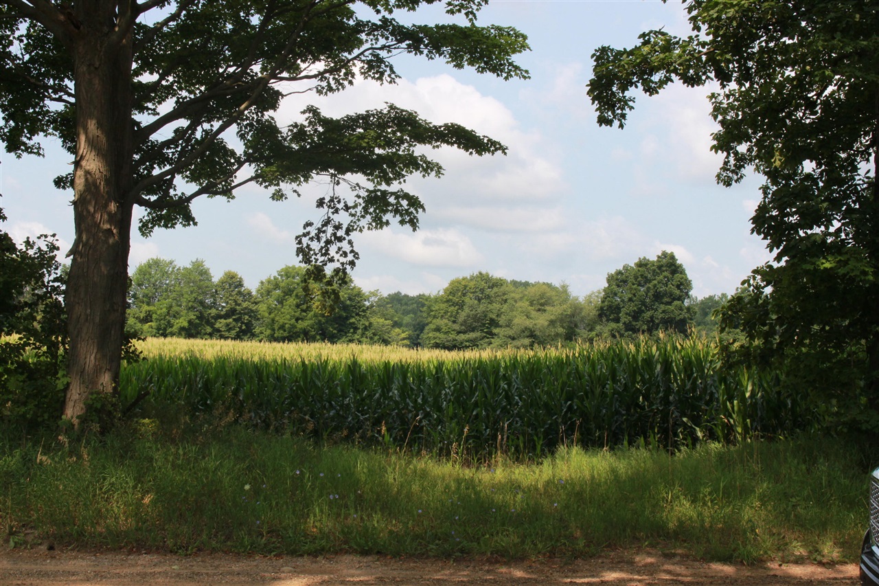 2nd image of P Dr S (parcel 4), Burlington, MI 49029 | MLS# 70550800