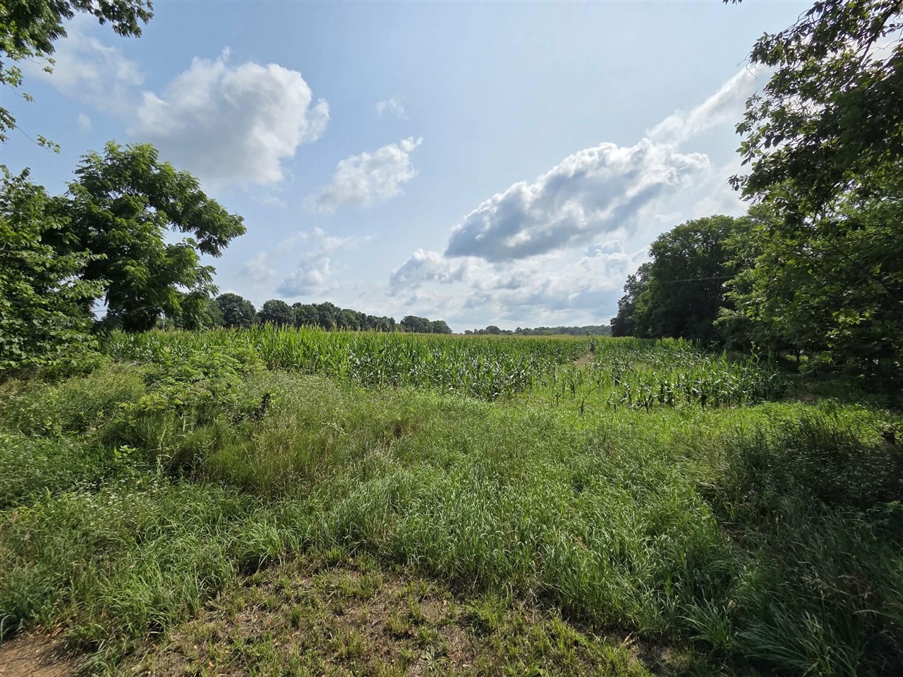 1st image of 13 Mile Rd (parcel 5), Burlington, MI 49029 | MLS# 70550801
