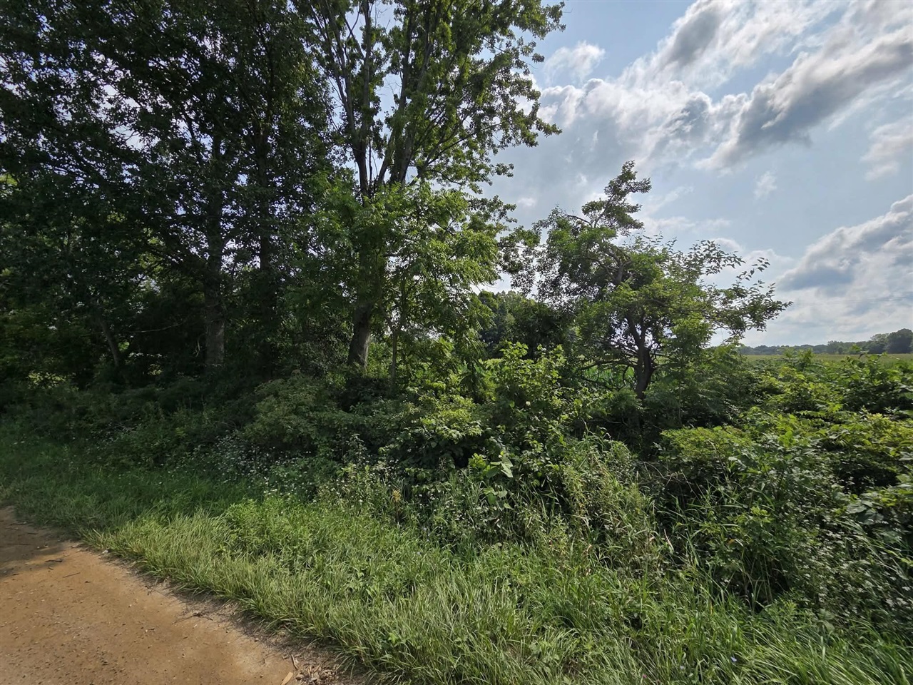 2nd image of 13 Mile Rd (parcel 5), Burlington, MI 49029 | MLS# 70550801