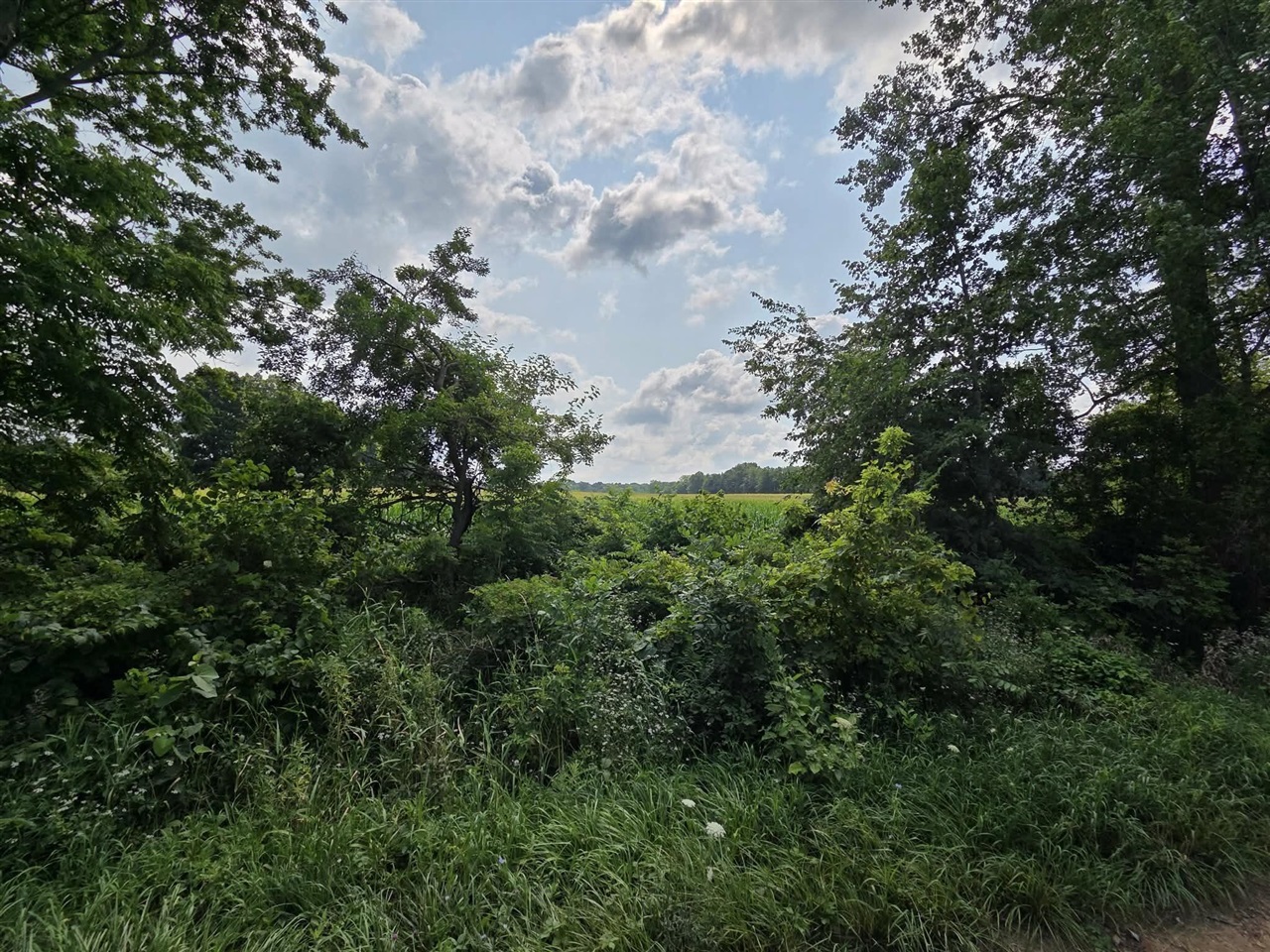 3rd image of 13 Mile Rd (Parcel 5), Burlington, MI 49029 | MLS# 70550801