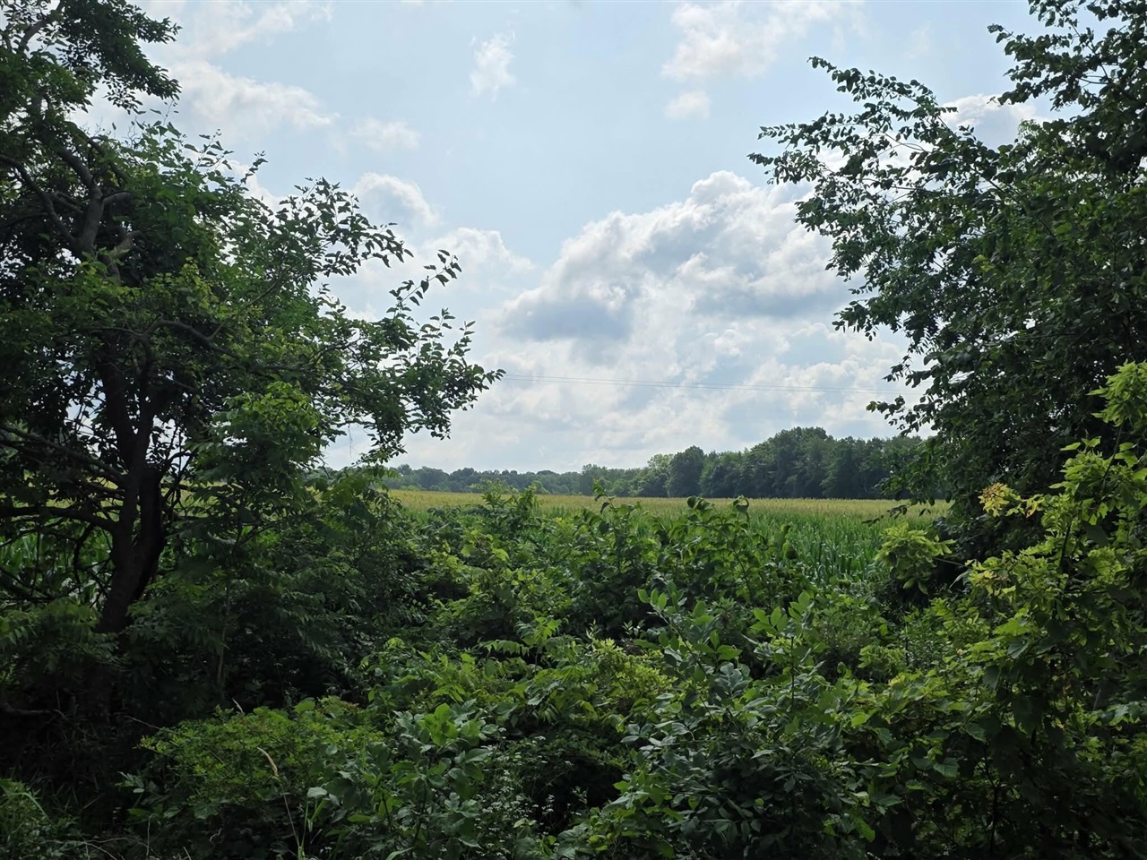 4th image of 13 Mile Rd (Parcel 5), Burlington, MI 49029 | MLS# 70550801