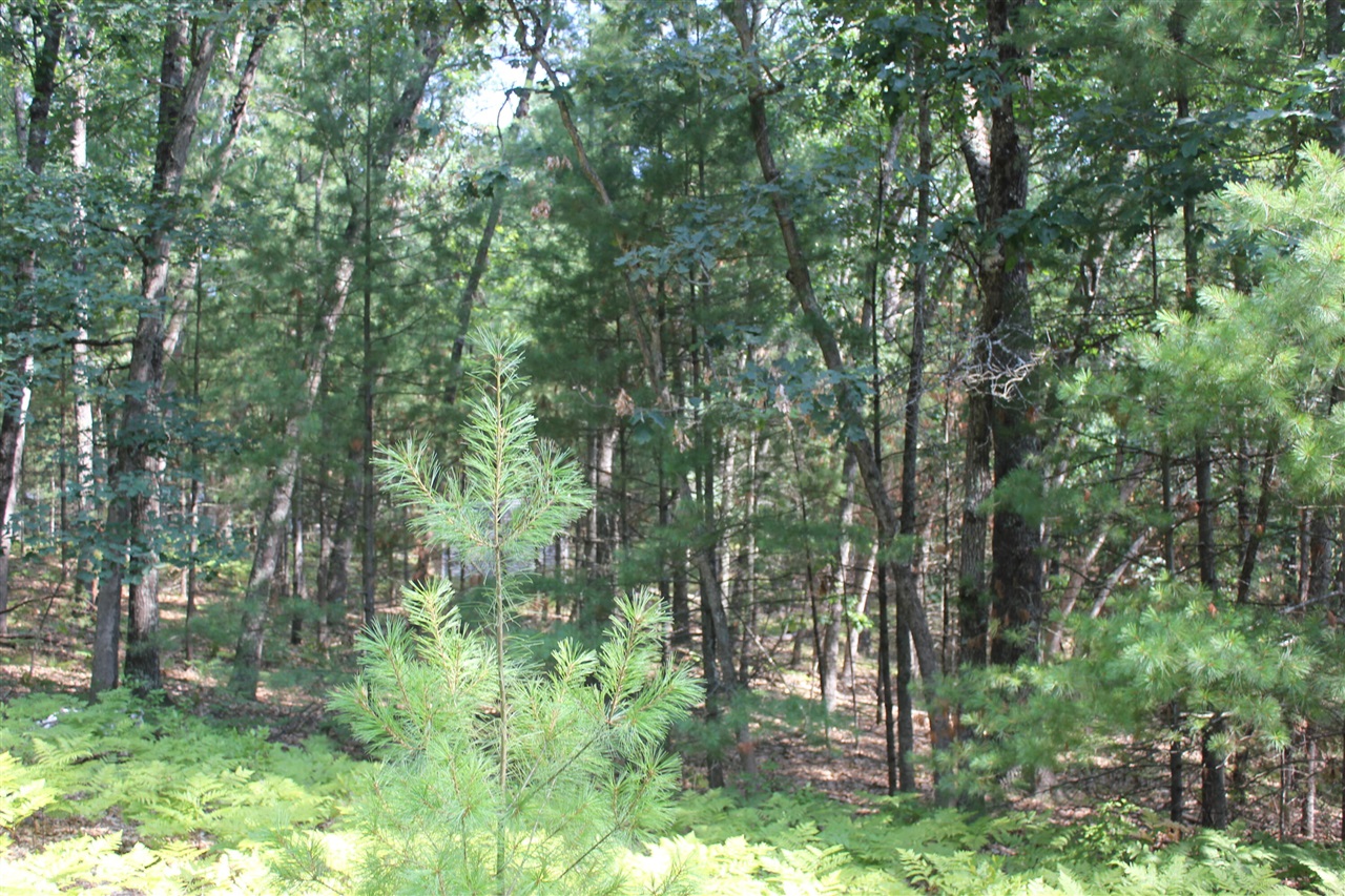 Photo 2 of Land for sale at 8212 W Goldenrod, Baldwin, MI 49304 | MLS# 70550880 | Listing updated on 2026-09-18